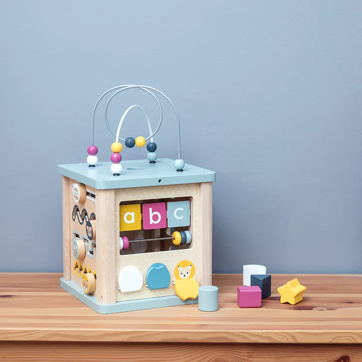 Big Jigs Activity Cube
