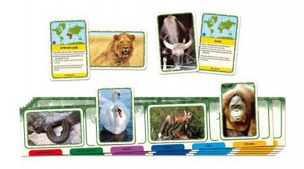 Animals of the World
