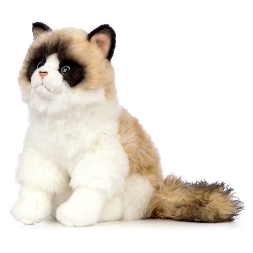 Living Nature Ragdoll Cat