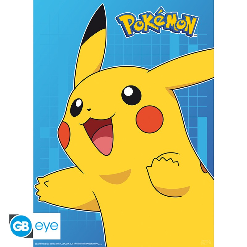 Pokemon Poster 2 Pack 52x38cm