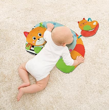 Baby Clem Kitty Cat Discovery Pillow