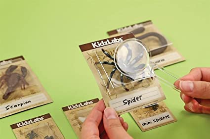 Kidzlabs Creepy Crawly Digging Kit