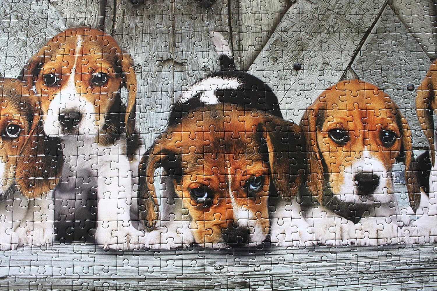 Clementoni Panorama Beagles Puzzle 1000