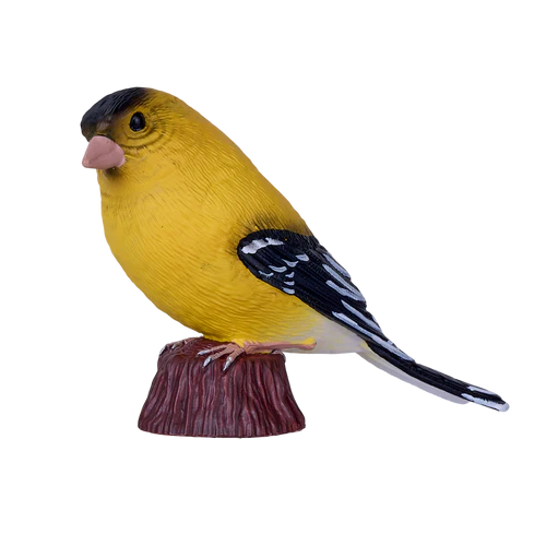 MOJO - American Goldfinch