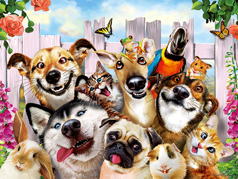 Prime 3D Howard Robinson Pet Selfie 500 Piece Puzz