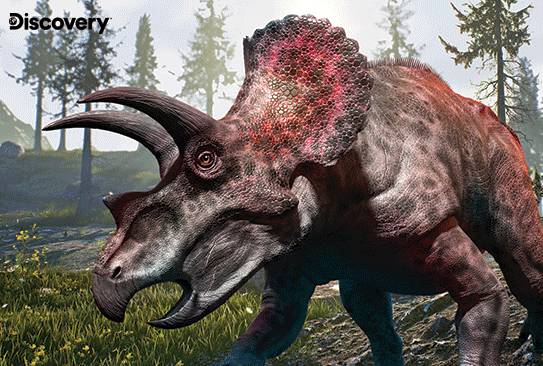 Prime 3D Discovery Triceratops 150 Piece Puzzle
