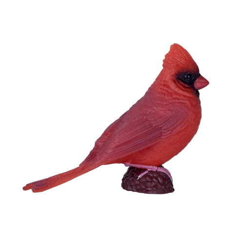 MOJO - Red Cardinal