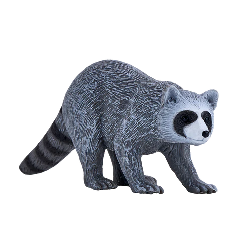 MOJO - Raccoon