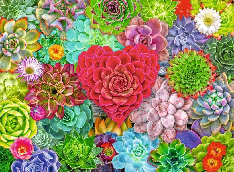 Succulent Love 500 Piece Jigsaw Puzzle