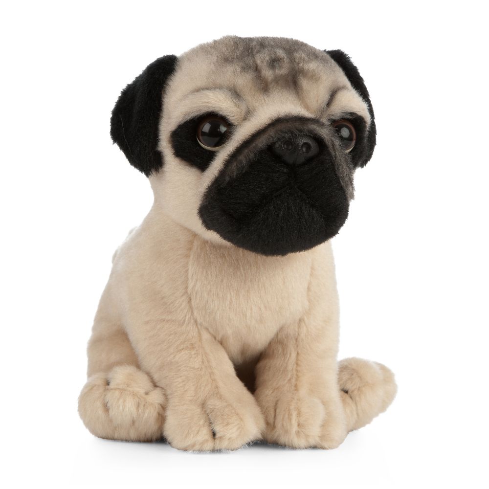 Living Nature Pug Puppy