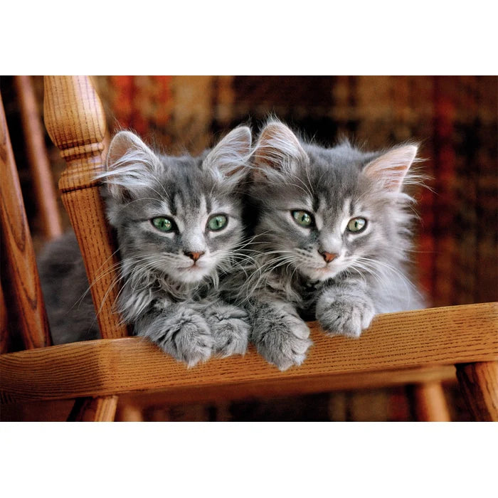 Clemintomi Kittens 500 Piece Jigsaw