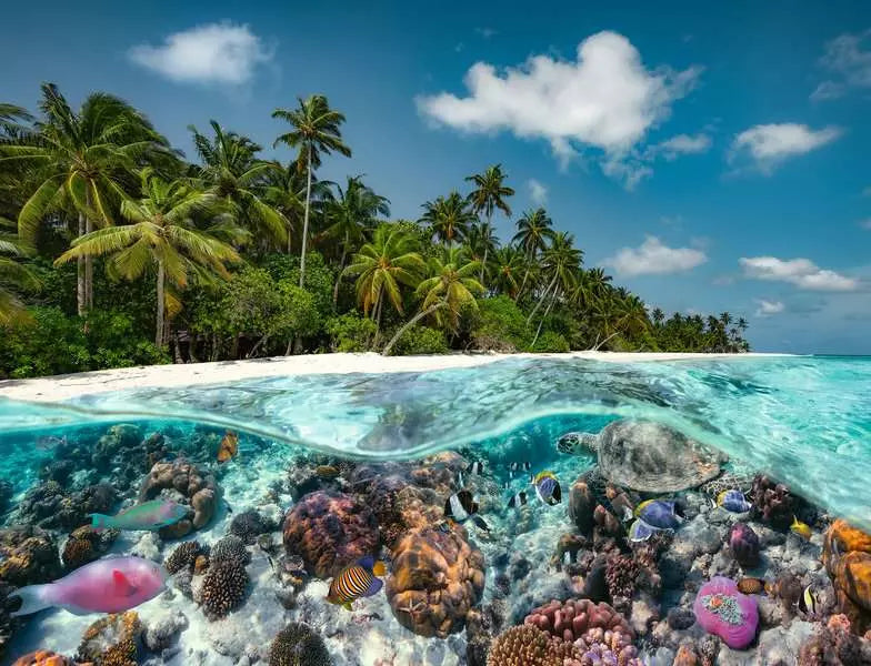 A Dive in the Maldives 2000 Piece Jigsaw