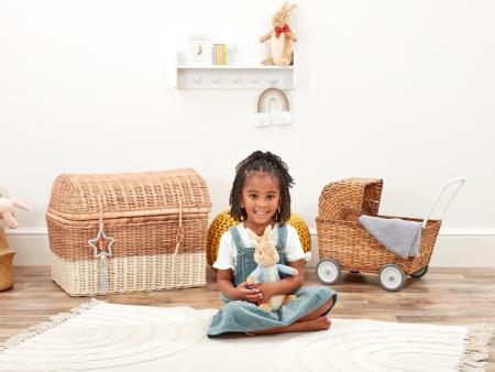 Peter Rabbit 24cm Soft Toy