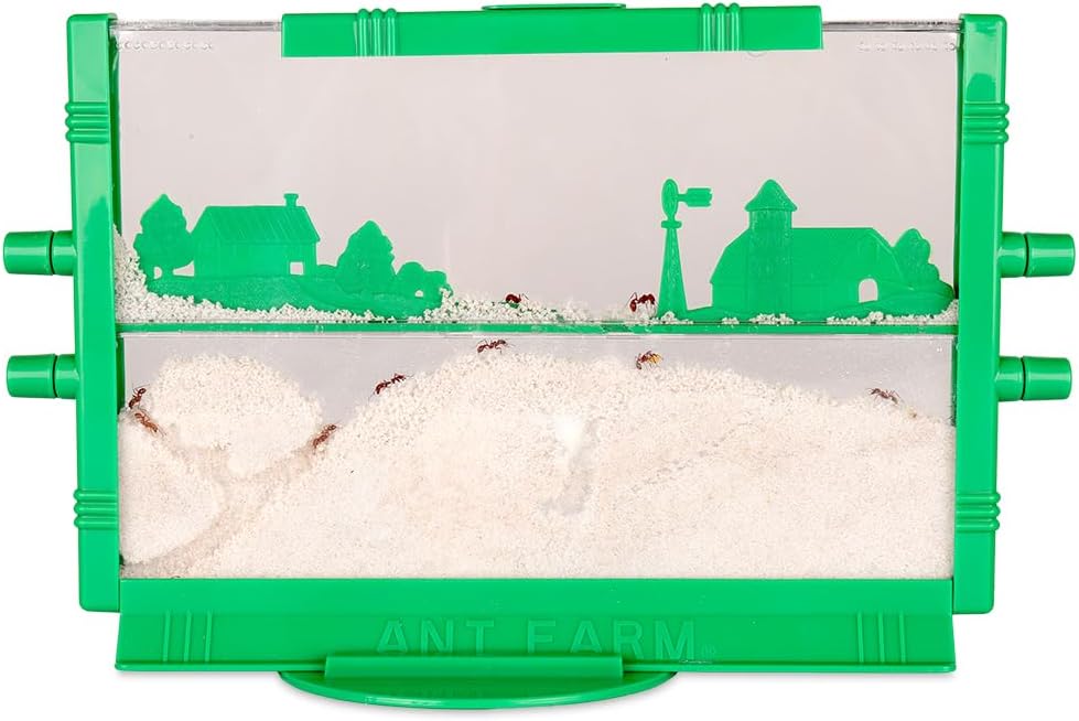 The Original Ant Farm