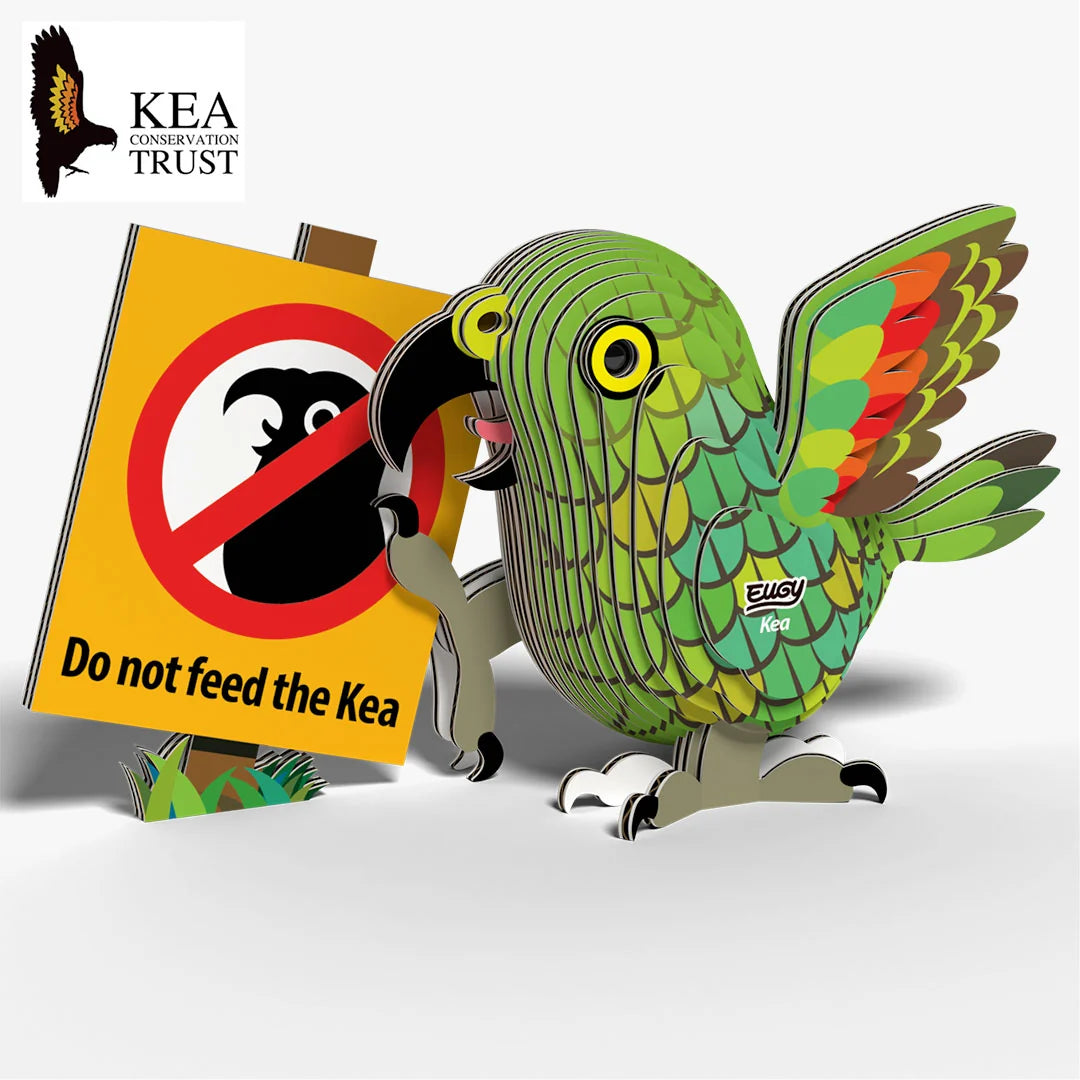 EUGY Kea 3D Puzzle