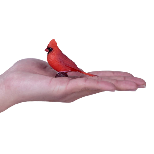 MOJO - Red Cardinal