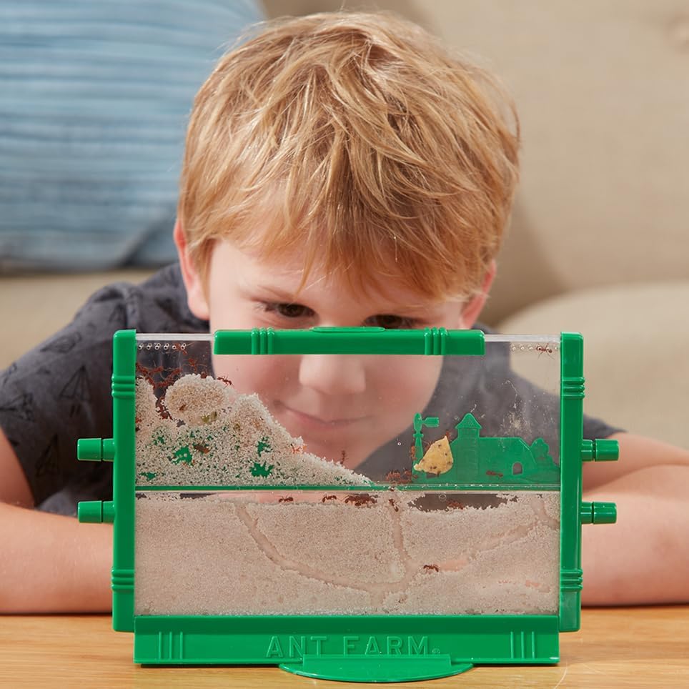 The Original Ant Farm