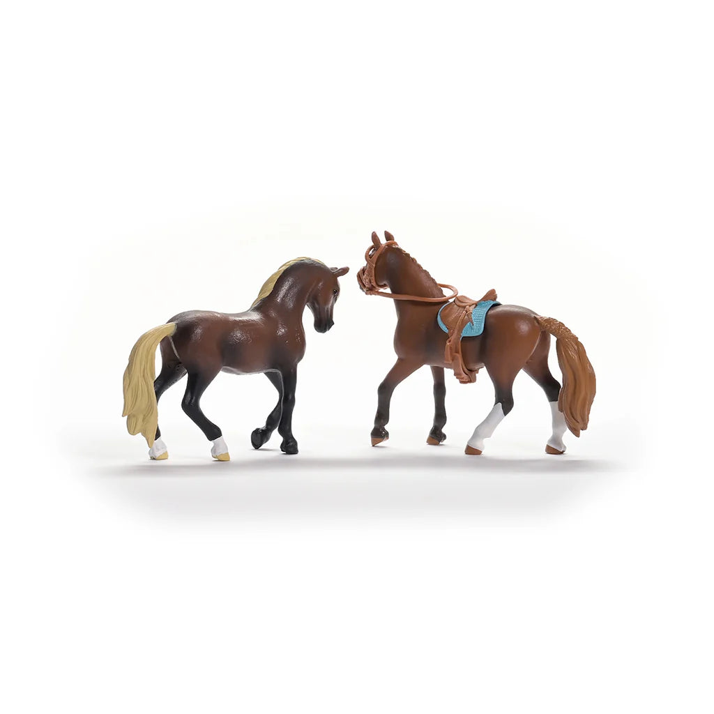 Schleich Horse Club Paso Peruano Starter Set
