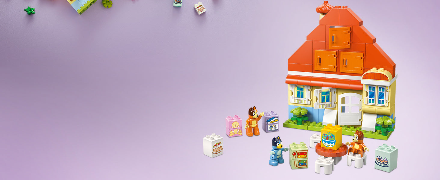 Lego 10459 Blueys Family House with