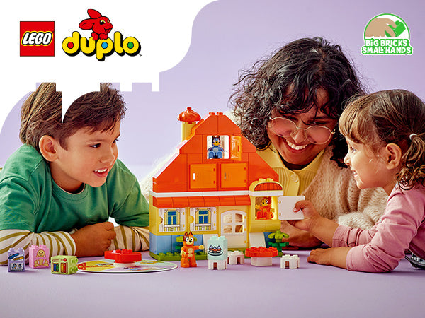 Lego 10459 Blueys Family House with