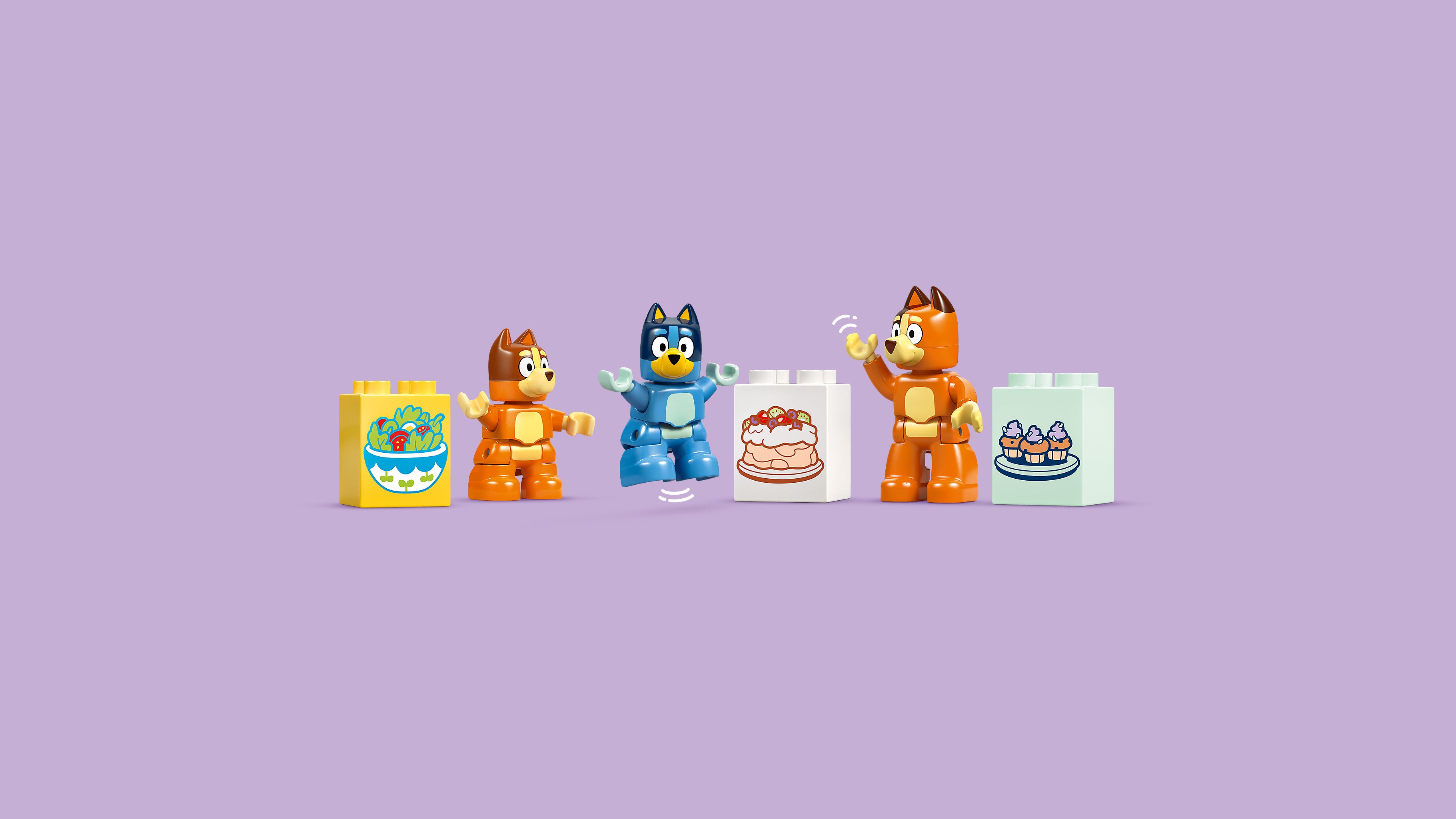 Lego 10459 Blueys Family House with