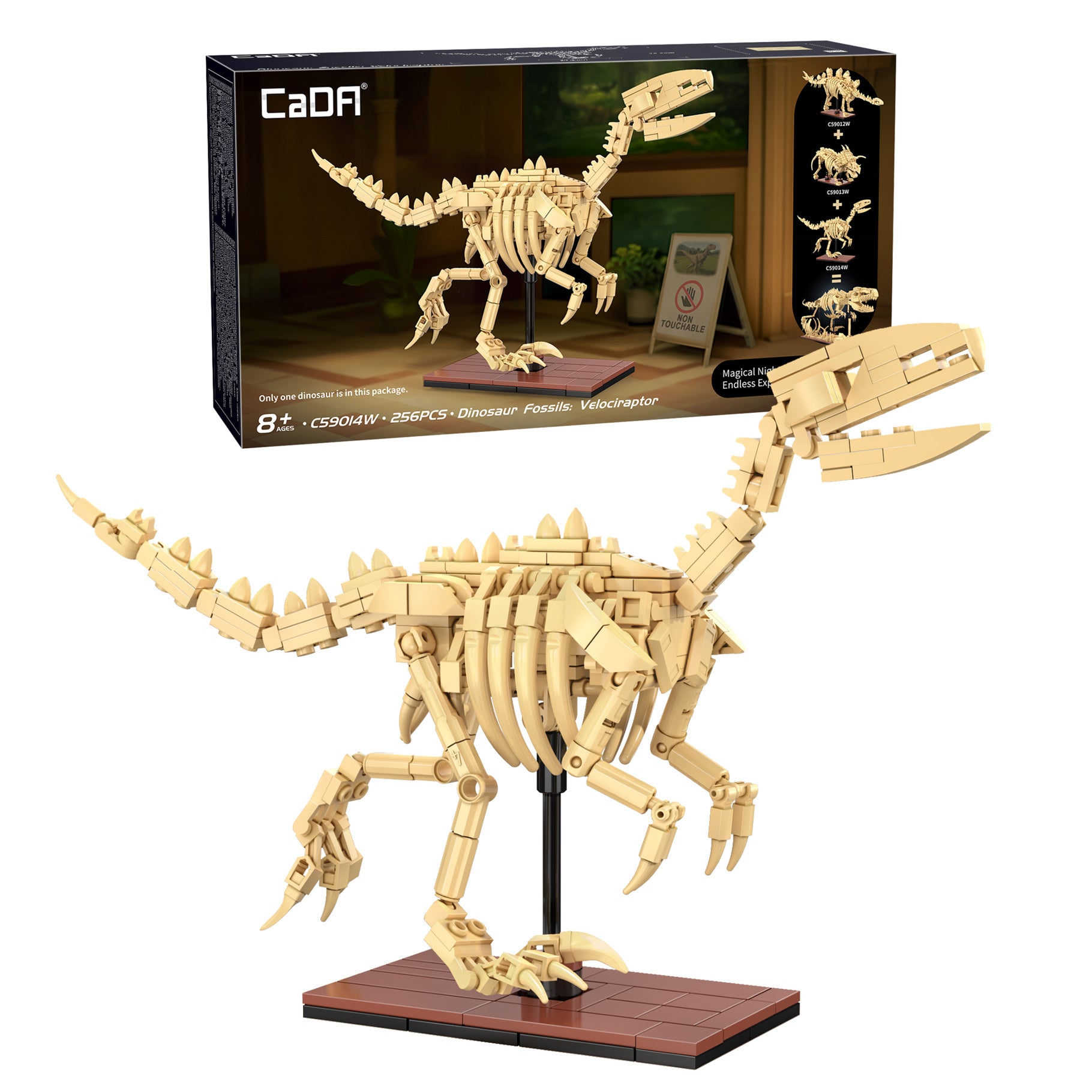 Cada Dino Fossils - Velociraptor Construction Kit