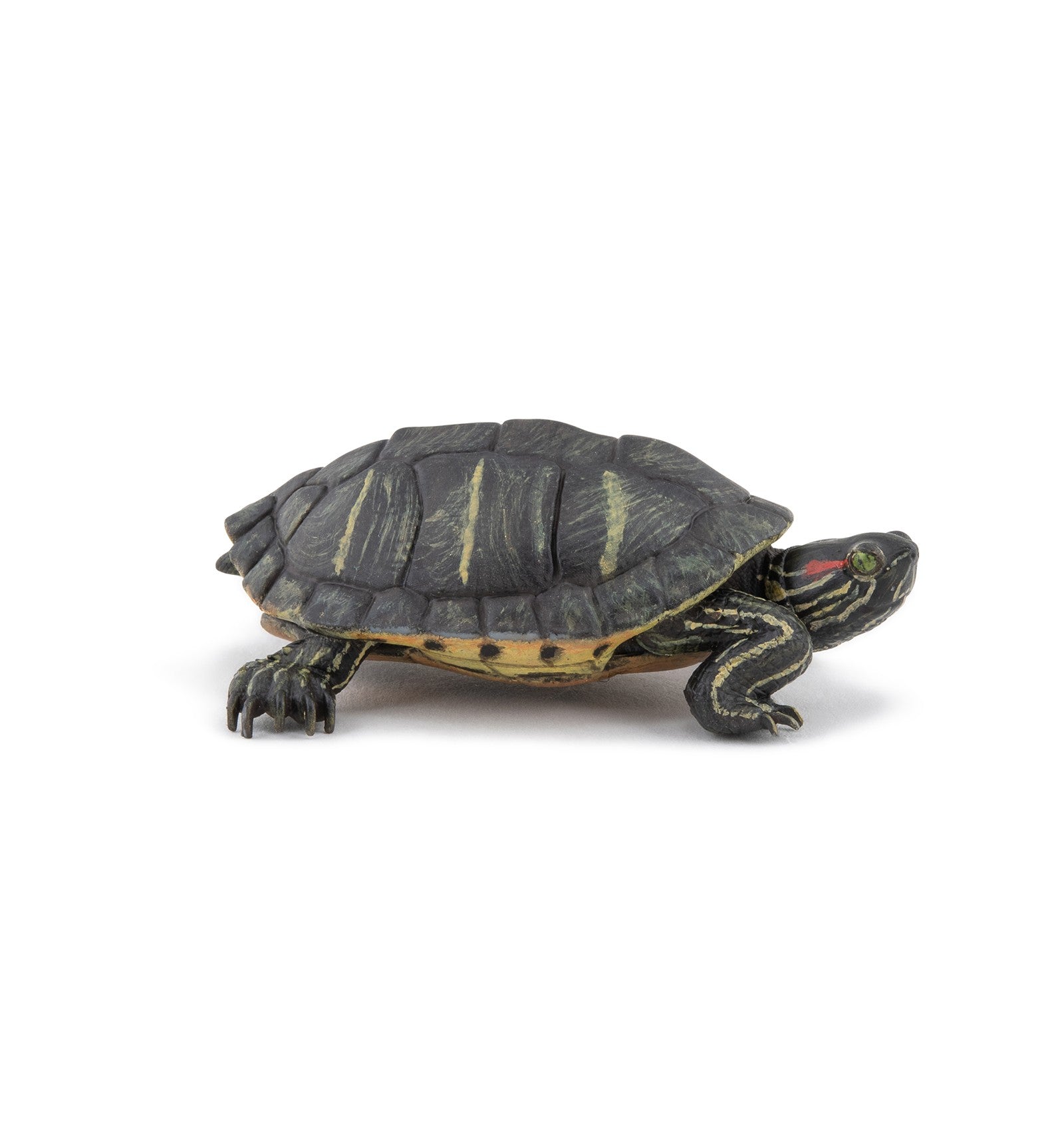 Papo Florida Tortoise