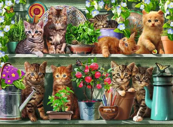 Cats on the Shelf 500 Piece Jigsaw Puzzle