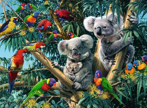 Koalas in a Tree 500 Piece Jigsaw Puzzle