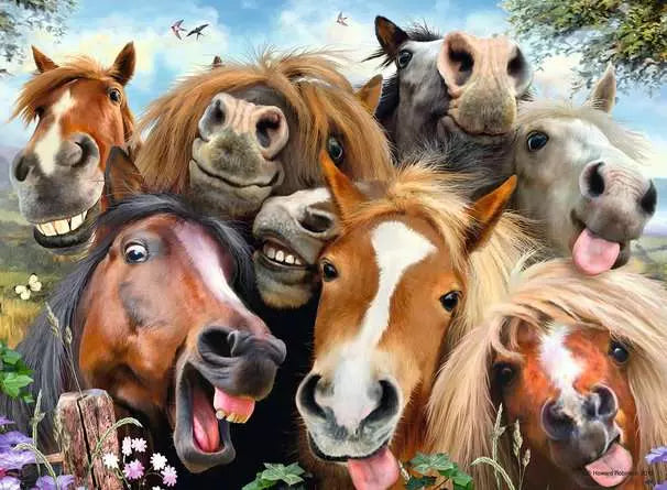 Horsing Around 500 Piece Jigsaw Puzzle