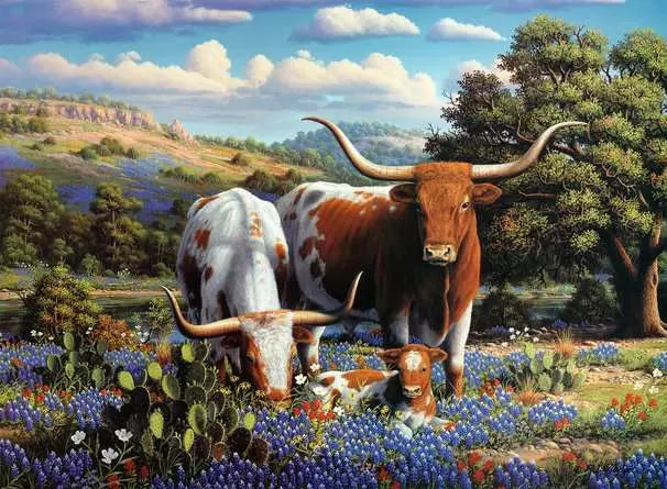 Loving Longhorns 500 Piece Jigsaw Puzzle