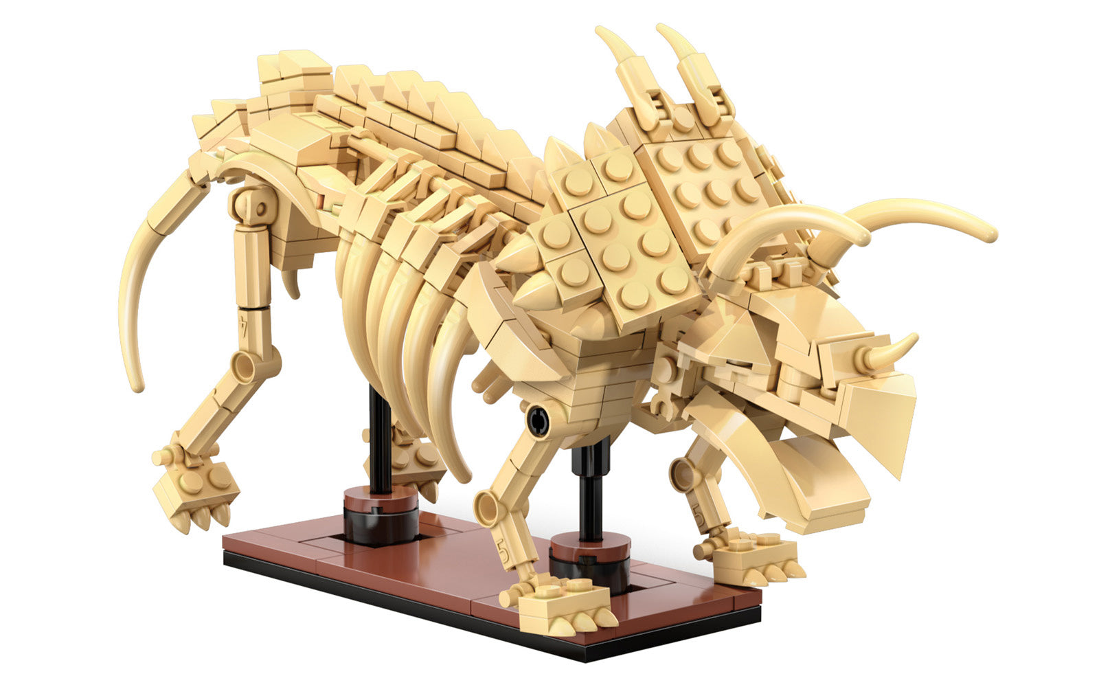 Cada Dino Fossils - Triceratops Construction Kit
