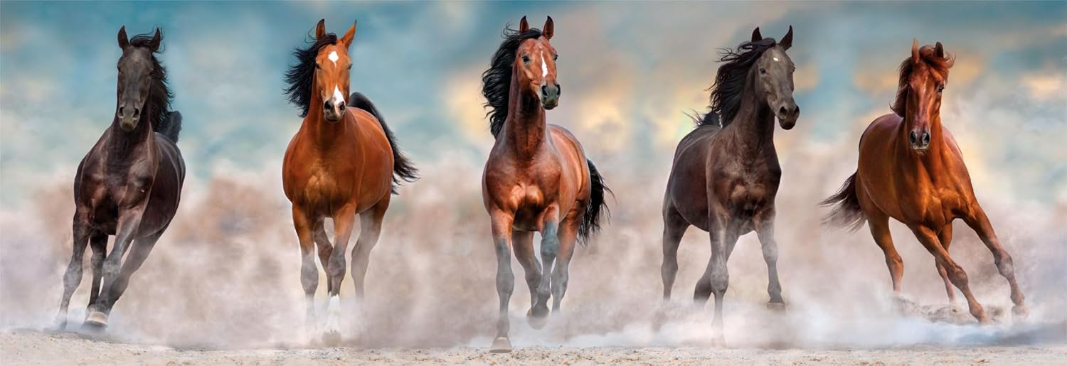 Clementoni Horses Panorama 1000 Piece Jigsaw