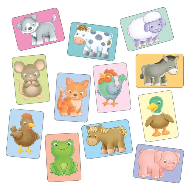 Orchard See & Sound Flashcards