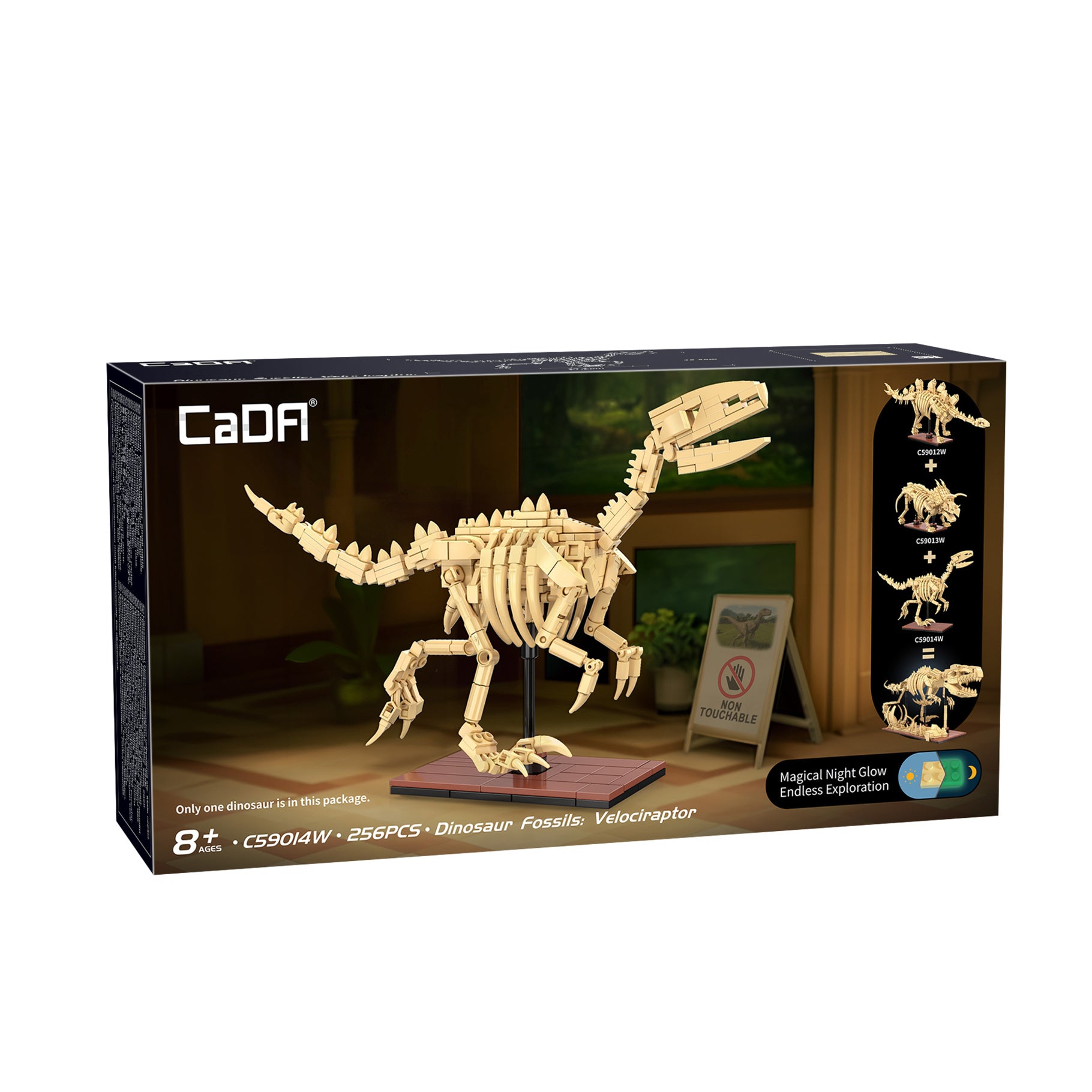 Cada Dino Fossils - Velociraptor Construction Kit