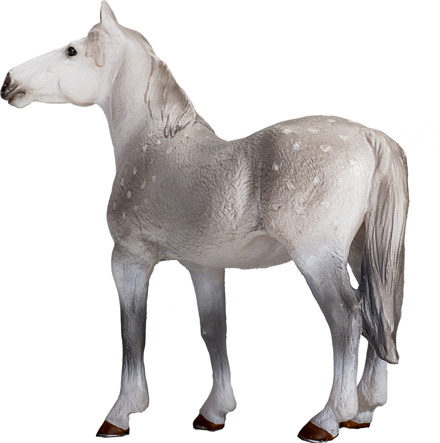 MOJO - Orlov Trotter