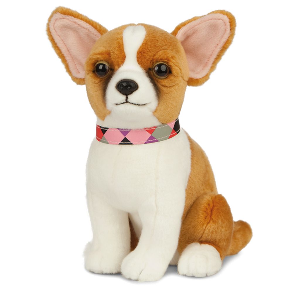 LIVING NATURE Chihuahua