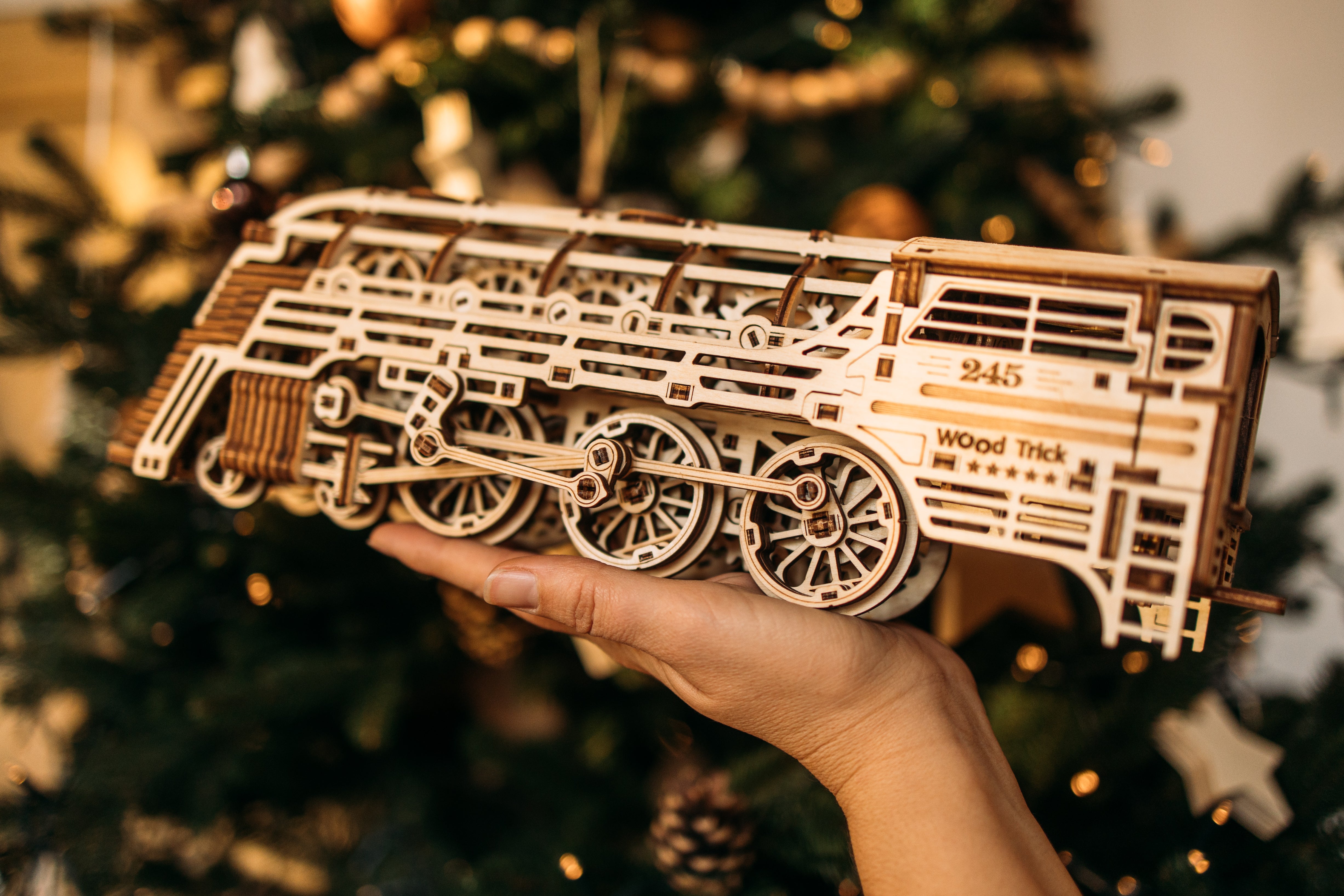 Wood Trick Atlantic Express 3D Set