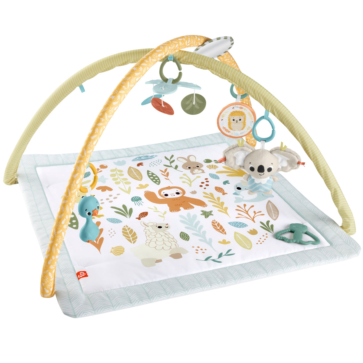 Fisher Price Simply Senses Newborn Gym