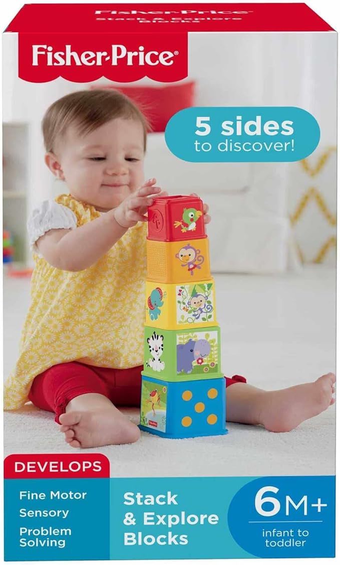 Fisher Price Stack and Explore Blocks