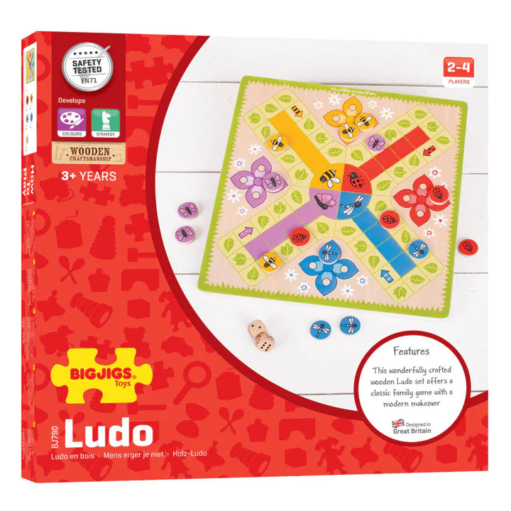 Big Jigs Ludo Game