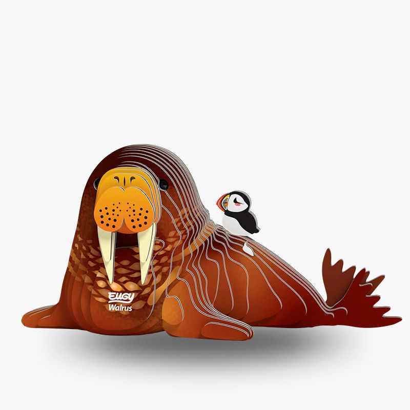 EUGY Walrus