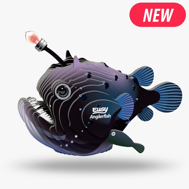 EUGY Anglerfish