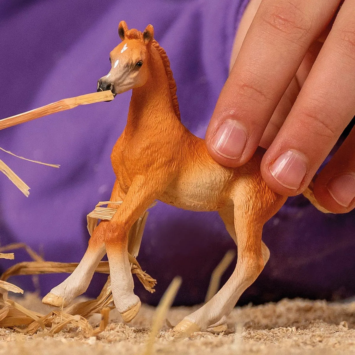 Schleich Arab Foal