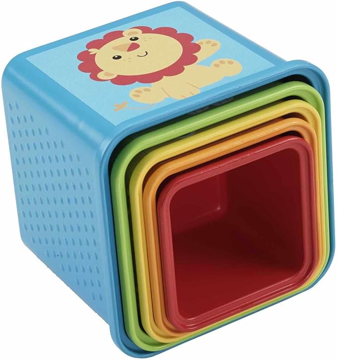 Fisher Price Stack and Explore Blocks