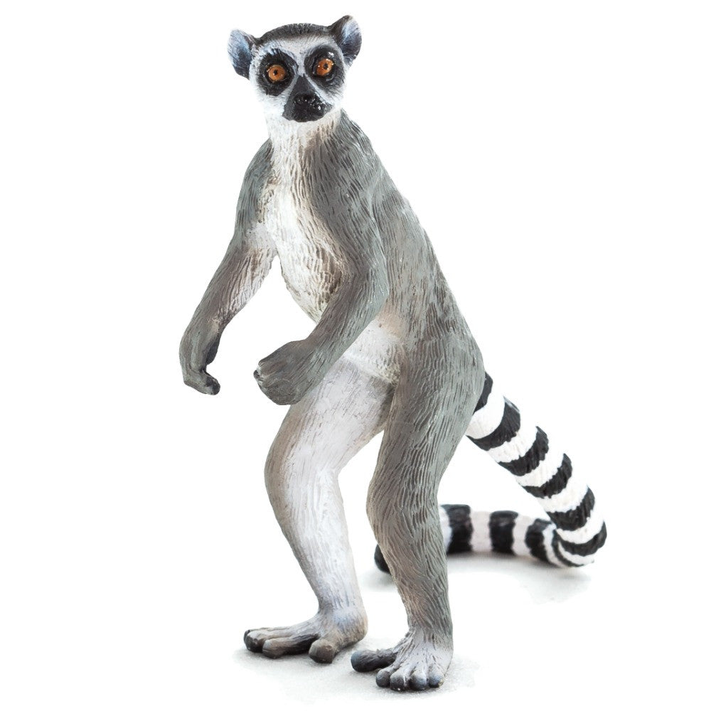 MOJO - Ringtail Lemur