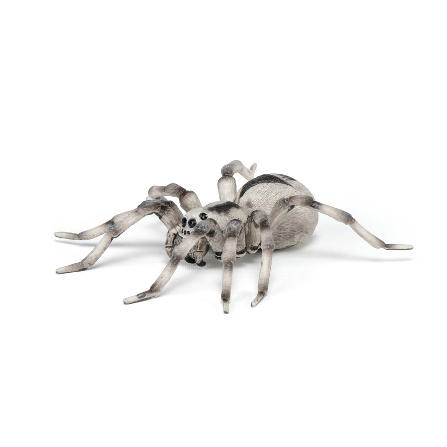Papo Tarantula