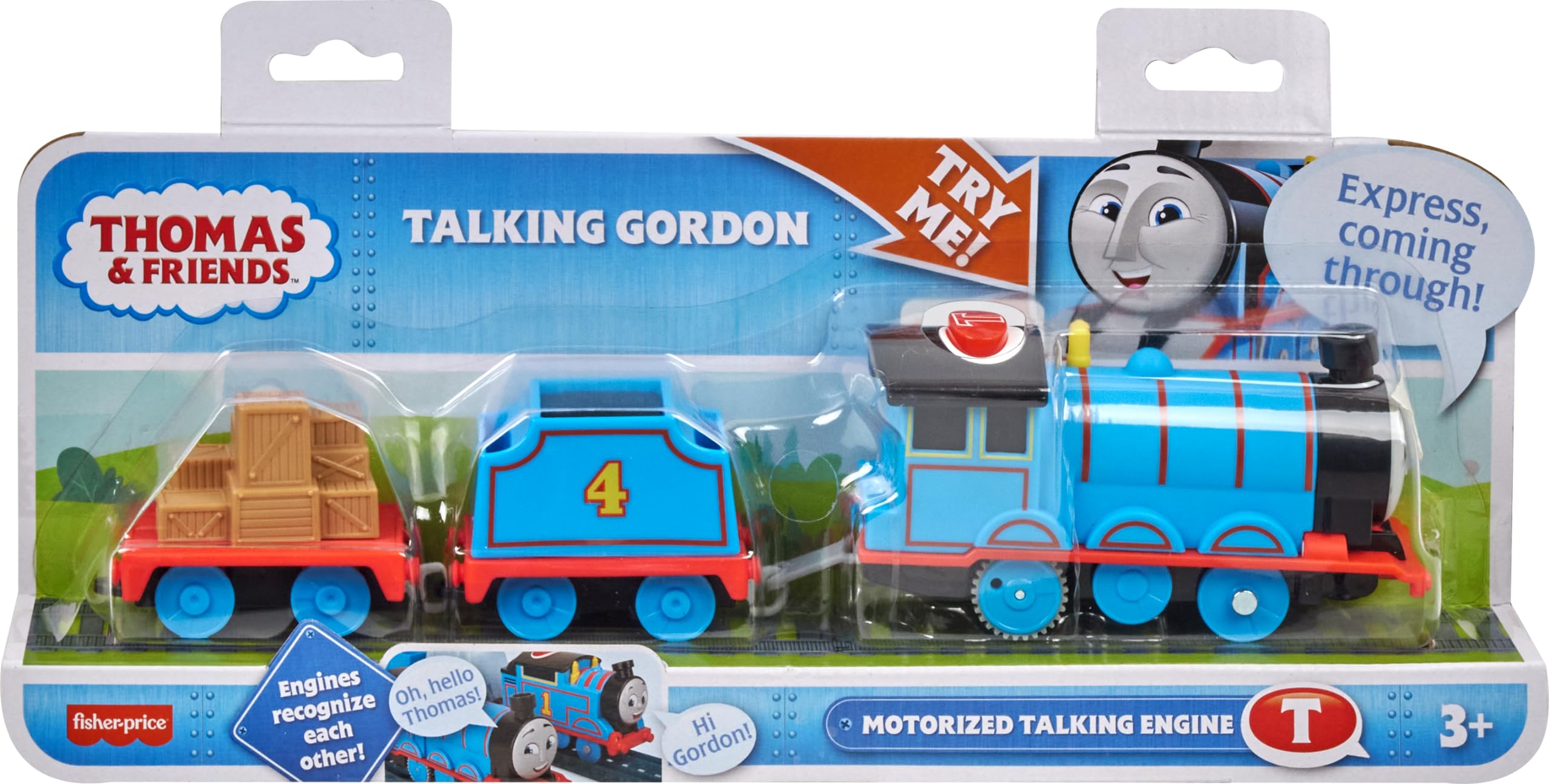 Thomas & Friends Motorized Talking Gordon