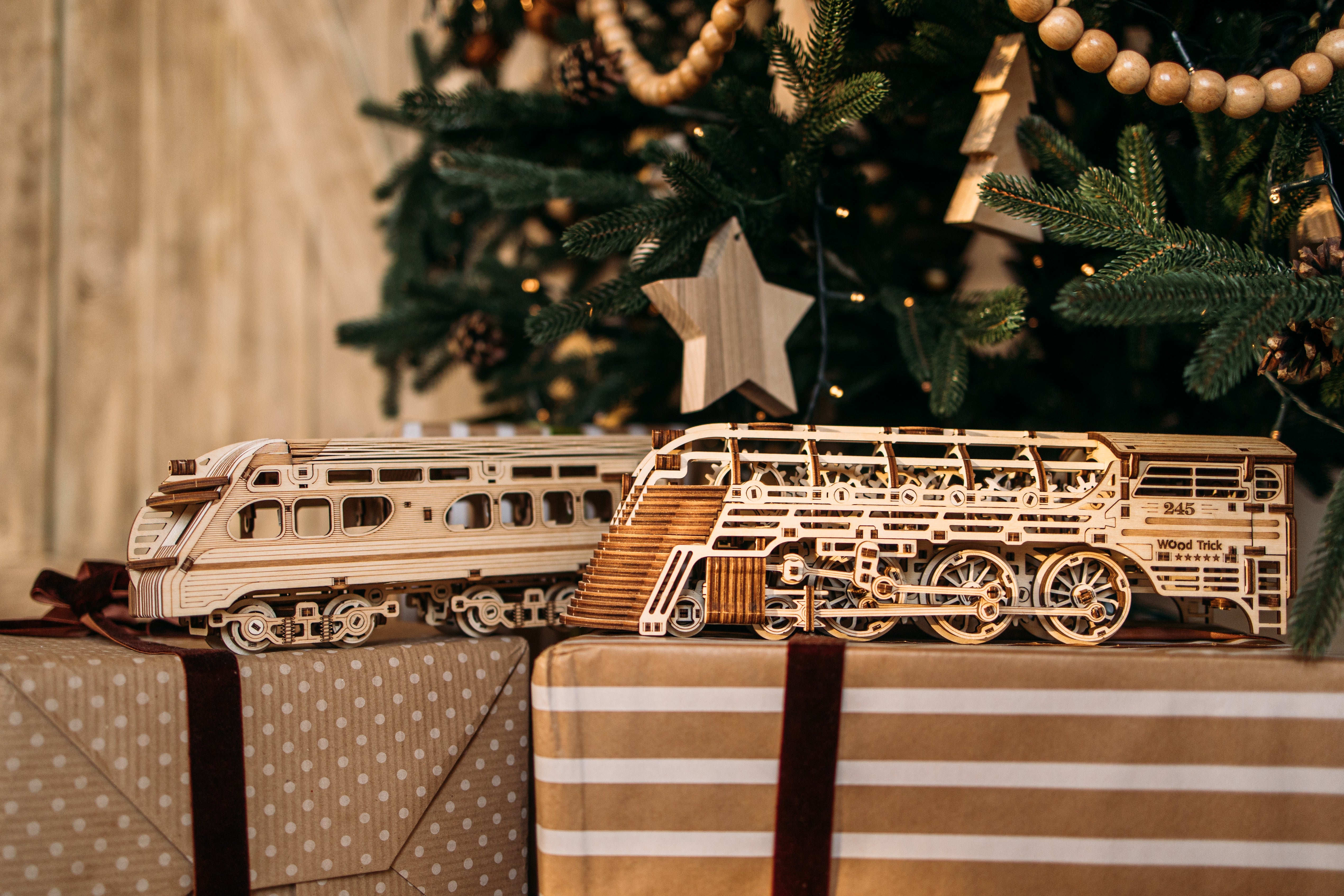 Wood Trick Atlantic Express 3D Set