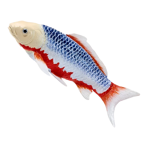 MOJO - Koi Carp - Asagi